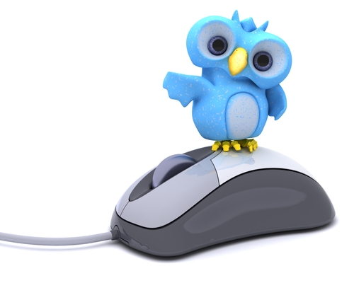 Cute Blue Bird Character